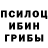 Псилоцибиновые грибы мухоморы FARRUH XUSENOV