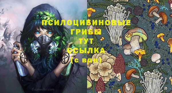 прущая мука Арсеньев