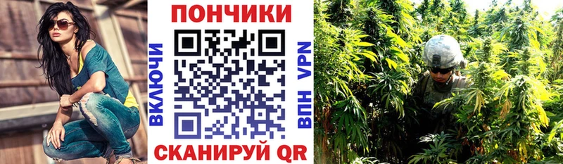 Канабис план Дорогобуж